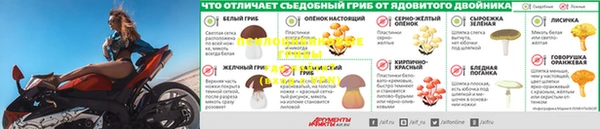 винт Семёнов