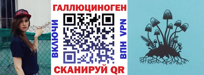 Галлюциногенные грибы Psilocybe  Сердобск 